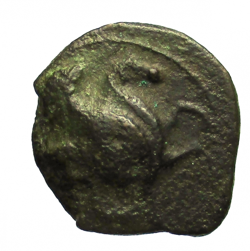 reverse: Mondo Greco. Sicilia Solus.  400-350 a.C.