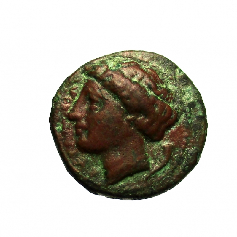 obverse: Mondo Greco. Sicilia, Siracusa,  317-289 a.C.
