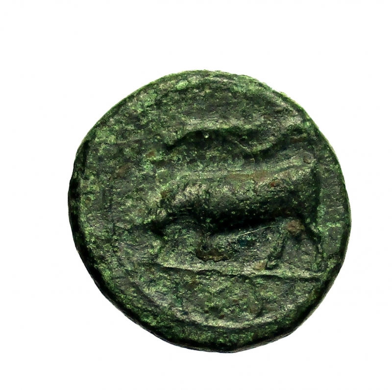 reverse: Mondo Greco. Sicilia, Siracusa,  317-289 a.C.