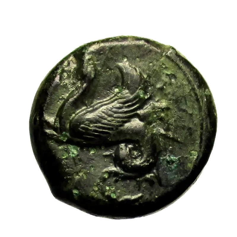 reverse: Mondo Greco. Sicilia. Siracusa. 409-395 a.C. Litra.