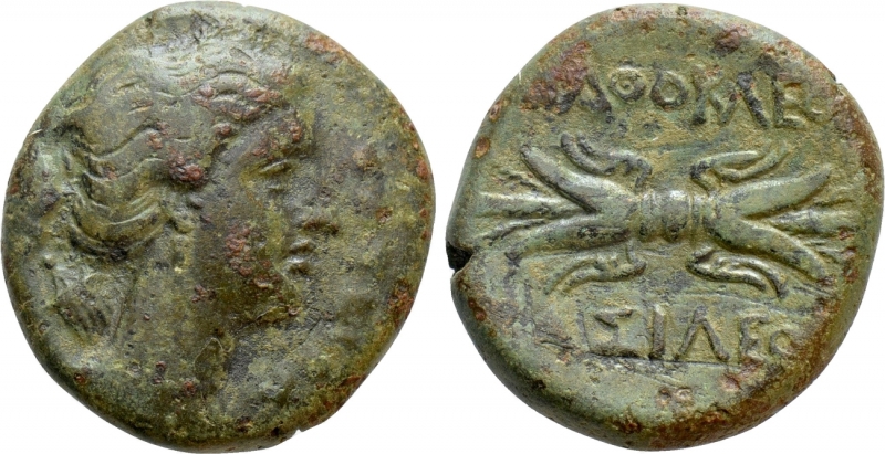 obverse: Mondo Greco. Sicilia. Siracusa. Agatocle 317-289 a.C. 