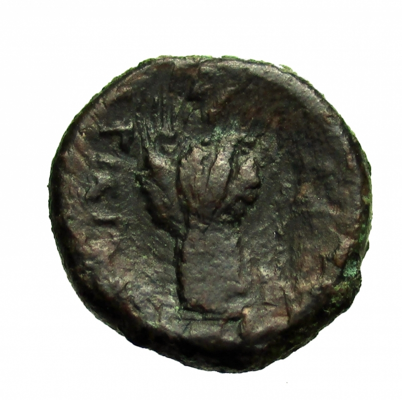 reverse: Mondo Greco. Sicilia. Leontini. 405-402 a.C.