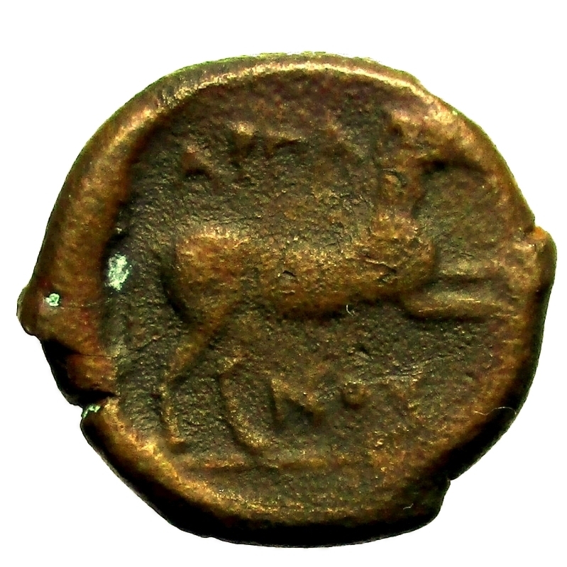 obverse: Mondo Greco. Apulia. Arpi. ca. 275-250 a.C. Ae.