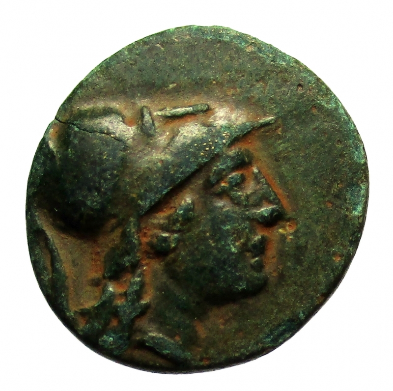 obverse: Mondo Greco. Macedonia. Antigone Gonata. 277-239 a.C.