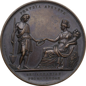 obverse: Medaglia di benemerenza della Società Economico-Agraria di Perugia (fondata nel 1838)