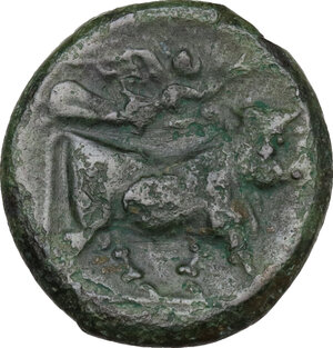 reverse: Central and Southern Campania, Neapolis. AE 19 mm., 275-250 BC