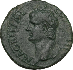obverse: Agrippa (died 12 AD).. AE As, struck under Gaius, 37-41