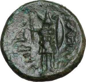 reverse: Southern Lucania, Heraclea. AE 14 mm. c.  281-278 BC