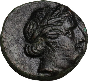 obverse: Southern Lucania, Metapontum. AE 14.5 mm. c. 300-250 BC