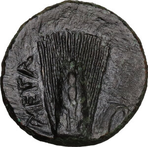 reverse: Southern Lucania, Metapontum. AE 14.5 mm. c. 300-250 BC