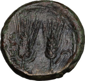 reverse: Southern Lucania, Metapontum. AE 17.5 mm. c. 225-200 BC