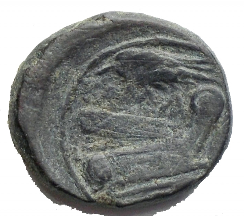 reverse: Repubblica Romana -Semuncia. ca 214-212.D/ Testa di Mercurio a destra.R/ Prua a destra; sopra ROMA - spiga di grano.Cr. 42/5AE.g 4,28. BB