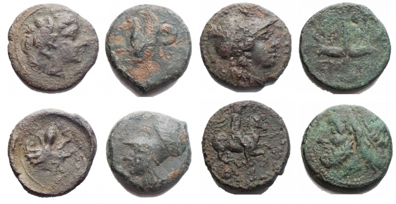 obverse: Mondo Greco. Lotto di 4 Ae
- Sicilia. Siracusa. Seconda Democrazia. 466-405 a.C. Tetras. r/ Octopus. Peso gr. 2,65. Diametro mm 17,4. VF
- Siracusa AE. D/ Testa di Athena con elmo corinzio a sinistra. R/ Ippocampo a sinistra. g 6,63. VF
- Sicilia Siracusa. Agatocle III. Periodo 305-295 a.C. Bronzo. d/ Testa elmata di Atena verso destra. r/ Cavaliere con lancia al galoppo verso destra. Peso 4,01 g. Diametro 16,73 mm. aVF. Patina Verde. Raro.
- Sicilia. Siracusa. AE 19,3 mm. 274-216 a.C. D/ Testa di Poseidone a sinistra. R/ Tridente tra due delfini. Cfr. SNG ANS 964 e segg. g 5,98. VF. Patina verde