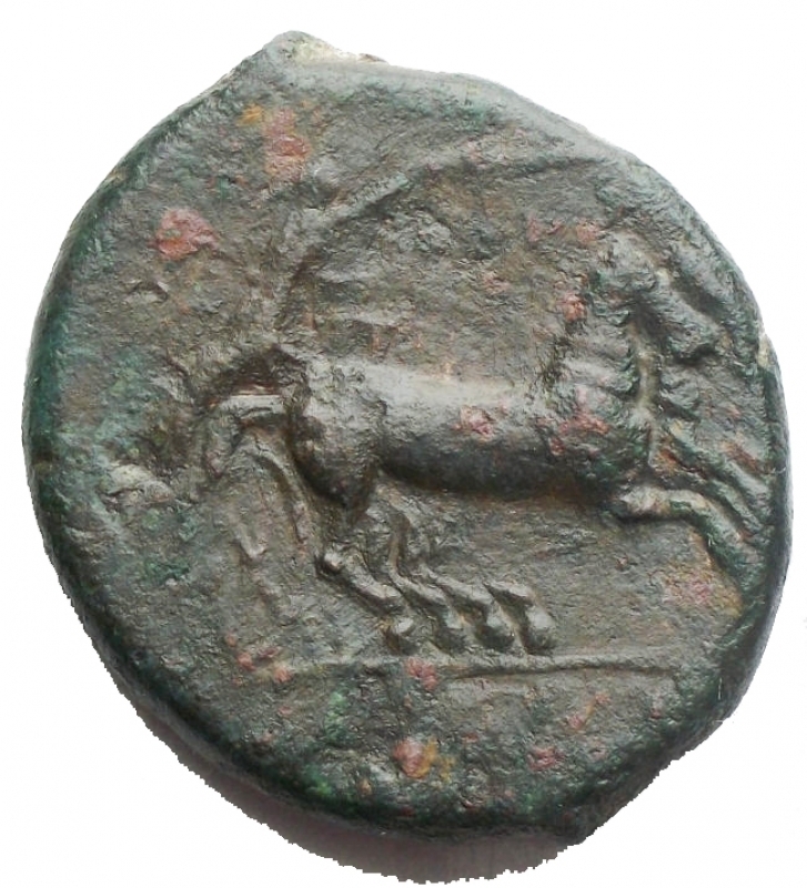 reverse: Mondo Greco - Syracuse. Ae. Agatocles (317-289) d / head of Persephone on the left. with crown of ears r / Auriga leads chariot to the right. 7.58 g. 19.8 x 22.8 mm. VF +. Green patina