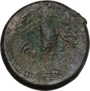reverse: Samnium, Southern Latium and Northern Campania, Suessa Aurunca. AE 19 mm, 265-240 BC