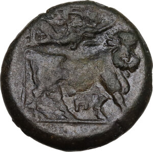 reverse: Samnium, Southern Latium and Northern Campania, Suessa Aurunca. AE 19 mm, circa 265-240 BC