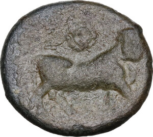 reverse: Central and Southern Campania, Neapolis. AE 16.5 mm, 300-275 BC