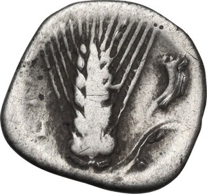 reverse: Southern Lucania, Metapontum. AR Diobol, 325-275 BC
