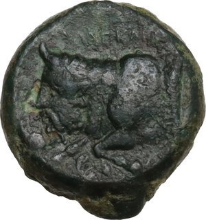 reverse: Agyrion. AE 15 mm, c. 355-339 BC