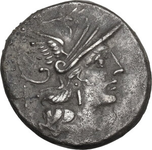 obverse: C. Scribonius. Denarius, 154 BC