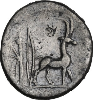 reverse: Cn. Plancius. Denarius, Rome mint, 55 BC