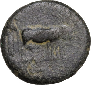 reverse: Augustus (27 BC - 14 AD)  . AE, 17 mm. Philippi mint? (Macedon.)