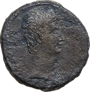 obverse: Augustus (27 BC - 14 AD)  . AE  Sestertius , Asia Minor, Uncertain (Pergamum?). Struck c. 28-15 BC
