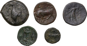 reverse: Greek World. Lot of 5 AE denominations, including, Rhegion and Leontini