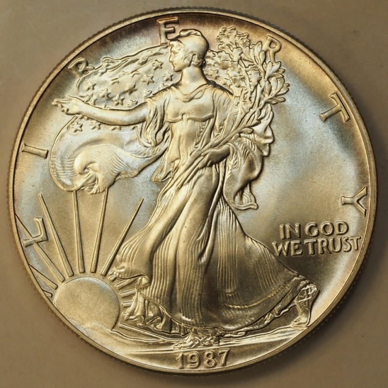 obverse: Dollaro USA 1987 Oncia Argento Liberty Eagle 1 oz. silver Coin