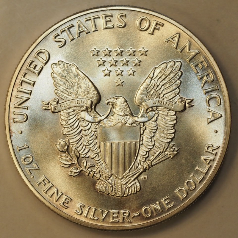 reverse: Dollaro USA 1987 Oncia Argento Liberty Eagle 1 oz. silver Coin
