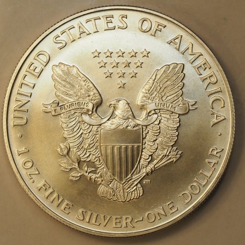 Dollaro USA 1996 Oncia Argento Liberty Eagle 1 oz. silver Coin