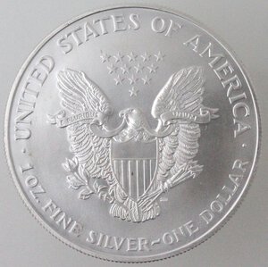 obverse: USA. Dollaro 1999. Oncia. Ag. 