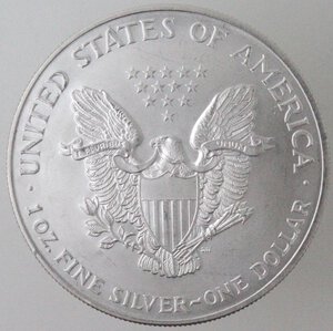 obverse: USA. Dollaro 2001. Oncia. Ag. 