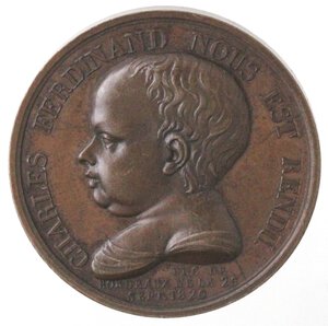 reverse: Medaglie. Francia. Luigi XVIII. 1814-1824. Medaglia 1820. Ae. Per la nascita del Duca di Bordeaux, figlio di Maria Carolina di Borbone e del Duca di Berry. 