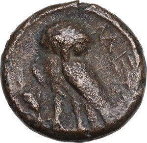 reverse: Southern Lucania, Metapontum. AE 13mm, 300-250 BC