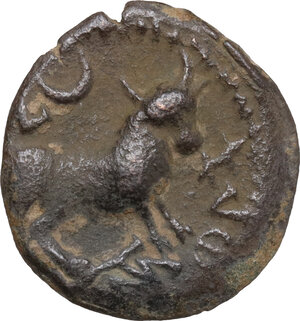 reverse: Castulo. AE Half Unit-Semis, early 1st century BC