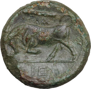 reverse: Syracuse.  Hieron II (274-215 BC). AE 19 mm, c. 275-269/265 BC
