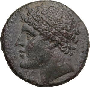 obverse: Syracuse.  Hieron II (274-215 BC). AE 27 mm. c. 240-215 BC