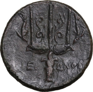 reverse: Syracuse.  Hieron II (274-215 BC). AE 22 mm. c. 240-215 BC