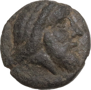 obverse: Mysia, Adramyteion. AE 11,50 mm. 4th century BC