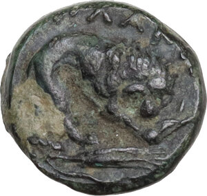 reverse: Mysia, Plakia. AE 10,50 mm. 4th century BC