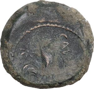 reverse: Samnium, Southern Latium and Northern Campania, Cales. AE. c. 265-240 BC