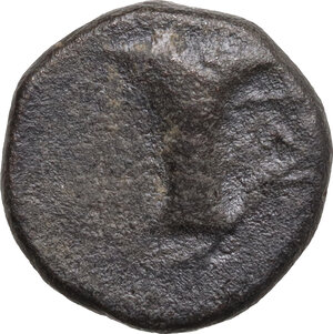 reverse: Aeolis, Kyme. AE 15 mm. c. 350-250 BC