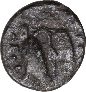reverse: Ionia, Leukai. AE 10,50 mm. c. 350-300 BC