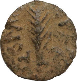 obverse: Judaea.  Porcius Festus, Procurator. AE Prutah in the name of Nero, 58-59 AD, Jerusalem mint