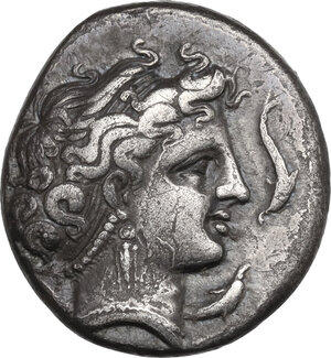 obverse: Central and Southern Campania, Neapolis. AR Didrachm, c. 300 BC