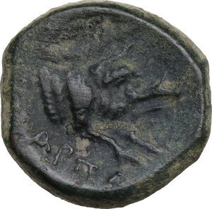 reverse: Northern Apulia, Arpi. AE 15 mm, c. 325-275 BC