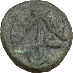 reverse: Northern Lucania, Paestum. AE Semis, 90-44 BC