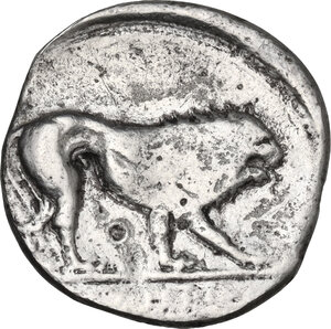 reverse: Northern Lucania, Velia. AR Didrachm, c. 390-250 BC