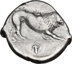 reverse: Northern Lucania, Velia. AR Didrachm, period VII, c. 300-280 BC